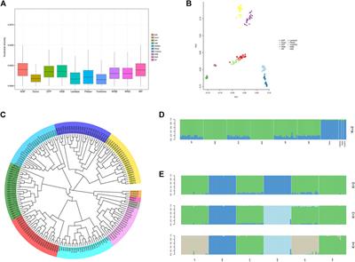 Genetic architecture and selection of Anhui autochthonous pig population revealed by whole genome resequencing